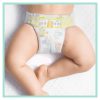 Pampers Premium Care 0-as pelenka, < 3 kg, 30 db