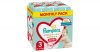 Pampers Premium Care Pants 3-as bugyipelenka, 6-11kg, 144 db - HAVI pelenkacsomag